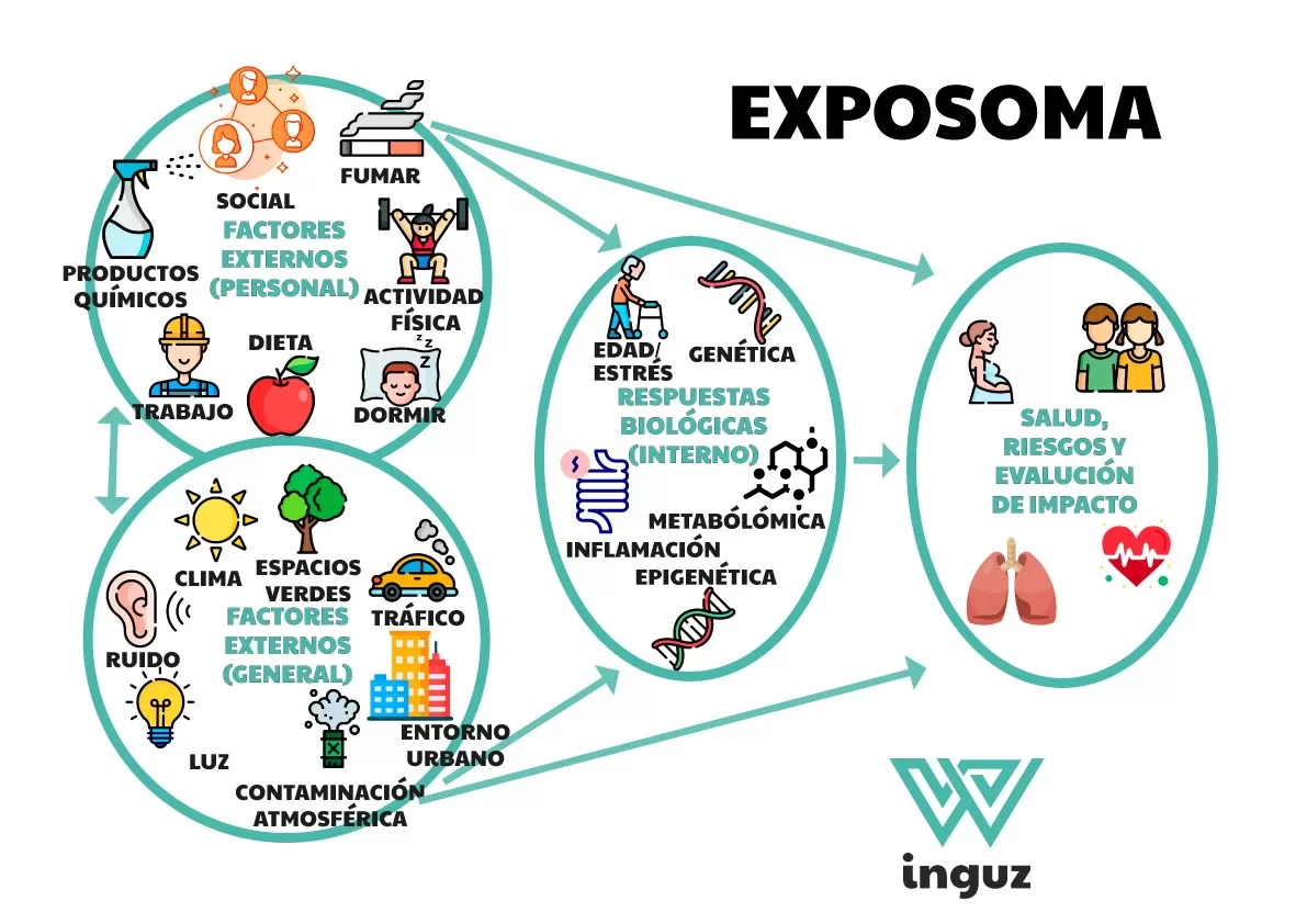 Exposoma