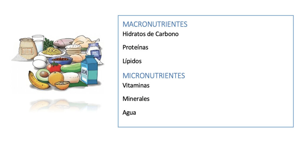 información sobre macronutrientes