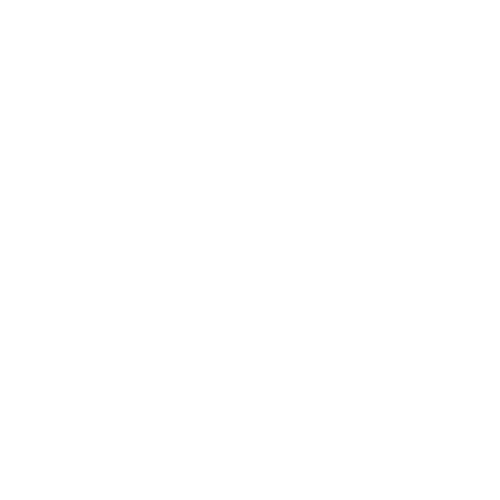 icono anciano icono anciano